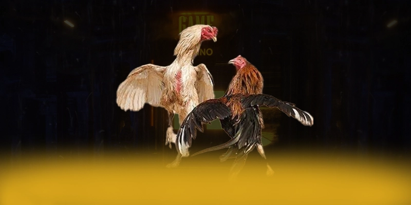 DAGA88 - Nền tảng cá cược mang đến thế giới game đa dạng đang làm mưa làm gió trên thị trường – Tìm hiểu DAGA88