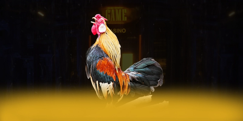 DAGA88 - Thương hiệu hiện đại trên thị trường DAGA88 - Thương hiệu hiện đại trên thị trường