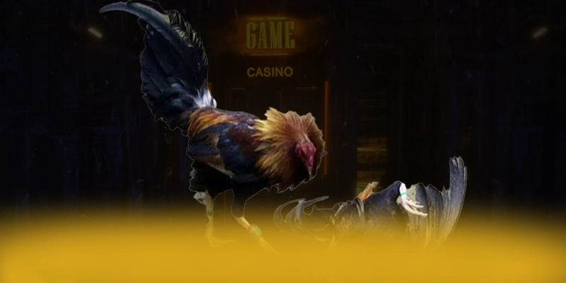 tài xỉu online - Nền tảng cá cược trực tuyến đáng tin cậy 2025 – Khám phá độ uy tín của tài xỉu online