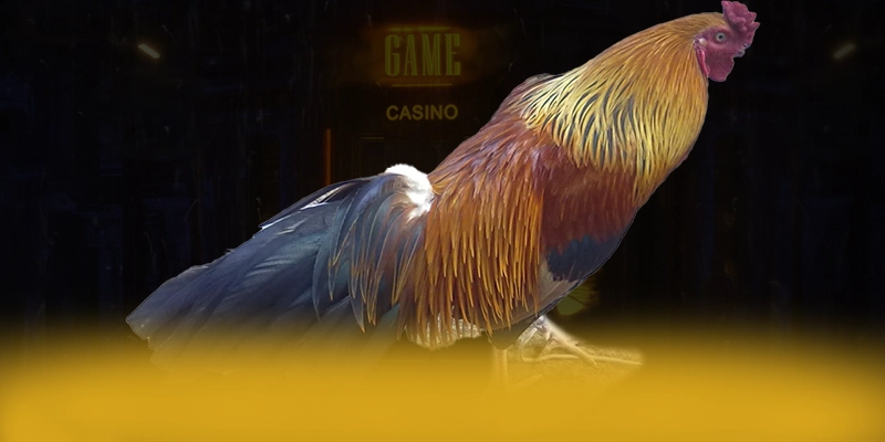 789WIN – Cổng cá cược được yêu thích nhất, được cộng đồng đánh giá tích cực.