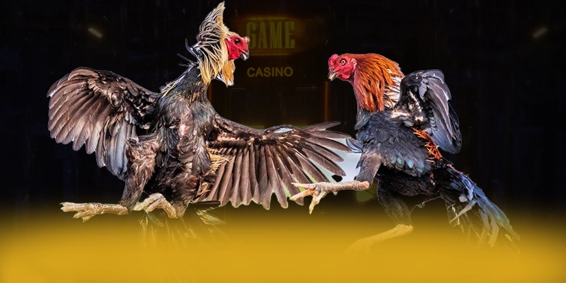 SA88 – Cổng giải trí chất lượng, được cộng đồng đánh giá tích cực. SA88 – Cổng giải trí chất lượng, được cộng đồng đánh giá tích cực.