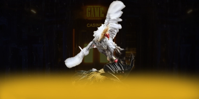 
Cập nhật thông tin về ĐÁ GÀ TRỰC TIẾP - Cổng game bài uy tín tại Việt Nam
