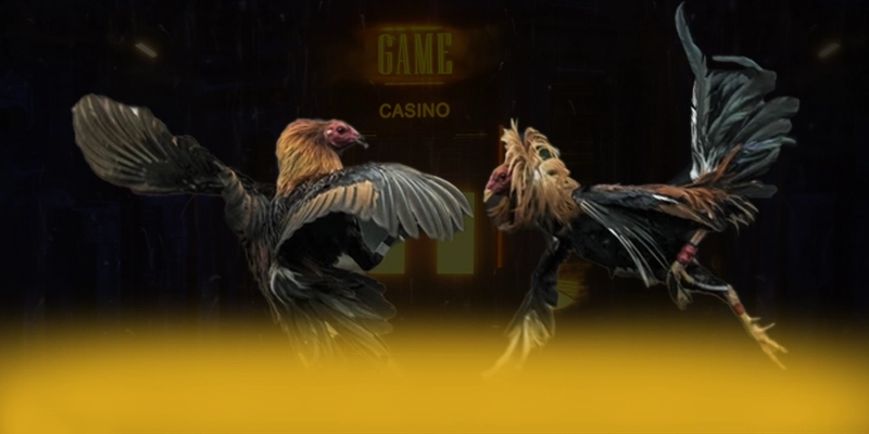 ĐÁ GÀ TRỰC TIẾP - Ứng dụng giải trí cam kết bảo vệ người chơi tuyệt đối được cộng đồng game thủ công nhận – Trải nghiệm ĐÁ GÀ TRỰC TIẾP