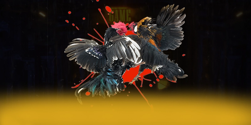 789P - Cổng cá cược mượt mà 2025