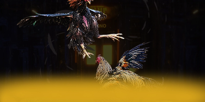 VWIN - Nhà cái đáng tin cậy trên thị trường – Khám phá ngay VWIN VWIN - Nhà cái đáng tin cậy trên thị trường – Khám phá ngay VWIN