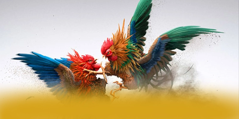 SUNWIN - Cổng game được đánh giá cao trong giới game thủ SUNWIN - Cổng game được đánh giá cao trong giới game thủ