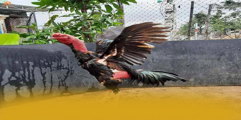 W88 - Trang game an toàn được cộng đồng game thủ công nhận – Tìm hiểu W88