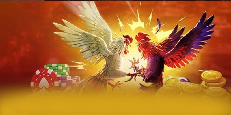 SUNWIN - Nhà cái với nhiều tựa game đổi thưởng hấp dẫn được yêu thích nhất – Khám phá ngay các trò chơi tại SUNWIN SUNWIN - Nhà cái với nhiều tựa game đổi thưởng hấp dẫn được yêu thích nhất – Khám phá ngay các trò chơi tại SUNWIN