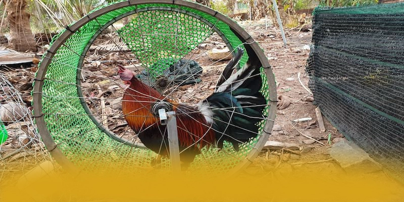 tài xỉu online - Cổng trò chơi với chính sách tặng thưởng đẳng cấp được cộng đồng game thủ yêu thích – Khám phá sự kiện hấp dẫn tại tài xỉu online tài xỉu online - Cổng trò chơi với chính sách tặng thưởng đẳng cấp được cộng đồng game thủ yêu thích – Khám phá sự kiện hấp dẫn tại tài xỉu online