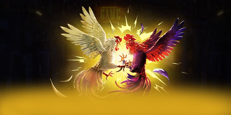 CONGA6789 - Cổng trò chơi được đánh giá cao được quan tâm hàng đầu