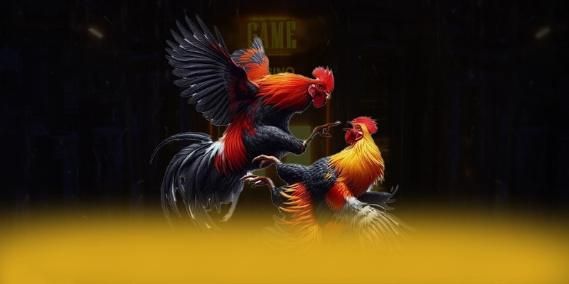 UU88 - Sảnh game với chính sách bảo mật hàng đầu được giới chuyên môn đánh giá cao – Khám phá ngay UU88 UU88 - Sảnh game với chính sách bảo mật hàng đầu được giới chuyên môn đánh giá cao – Khám phá ngay UU88