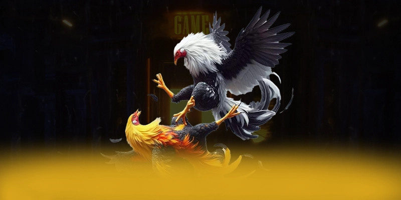 AU88 - Trang game hiệu năng vượt trội đang làm mưa làm gió AU88 - Trang game hiệu năng vượt trội đang làm mưa làm gió